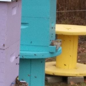 Meet your Posher, Kari